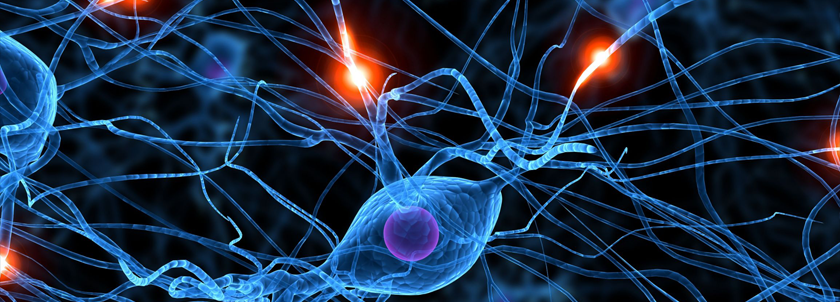 26 de octubre: Día Mundial del Ictus