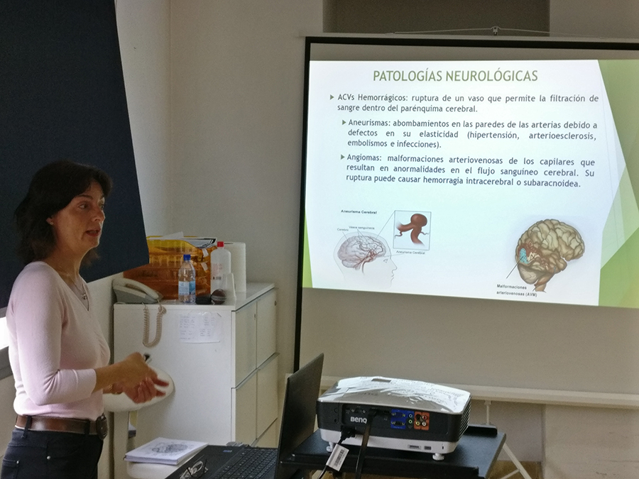 Lenguaje: lectura, escritura y cálculo. Evaluación y Tratamiento. Máster de Neuropsicología Clínica